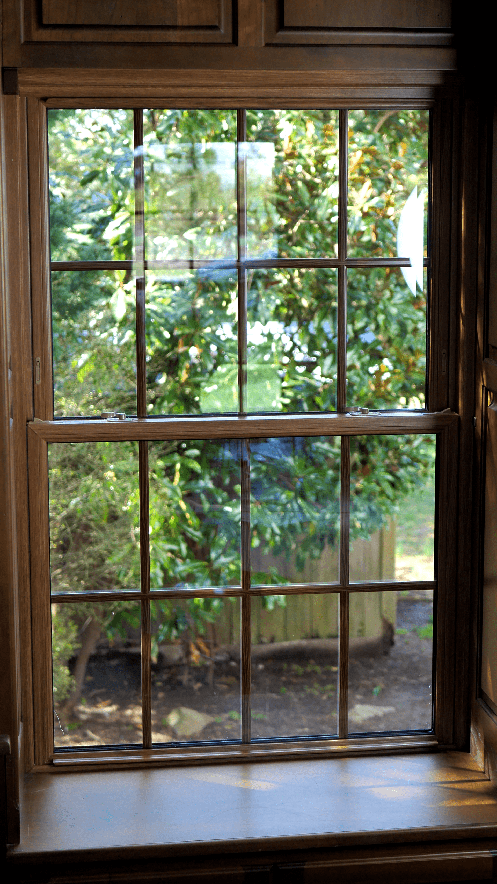 Cranford window replacement